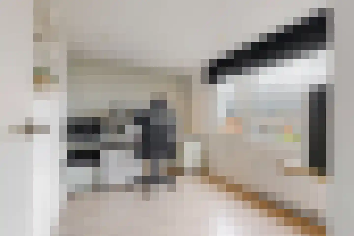Dennenlaan 1 Nieuwkoop thumbnail 26