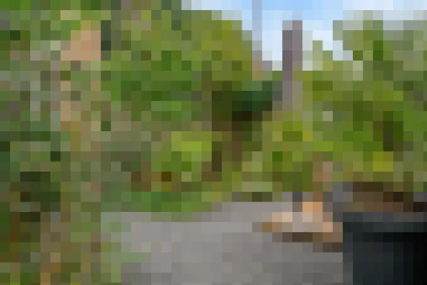 Dennenlaan 1 Nieuwkoop thumbnail 32