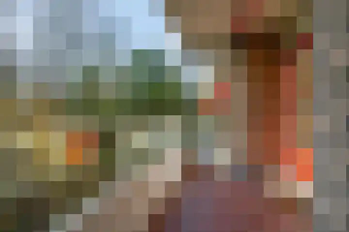 Dennenlaan 105 Ede thumbnail 26