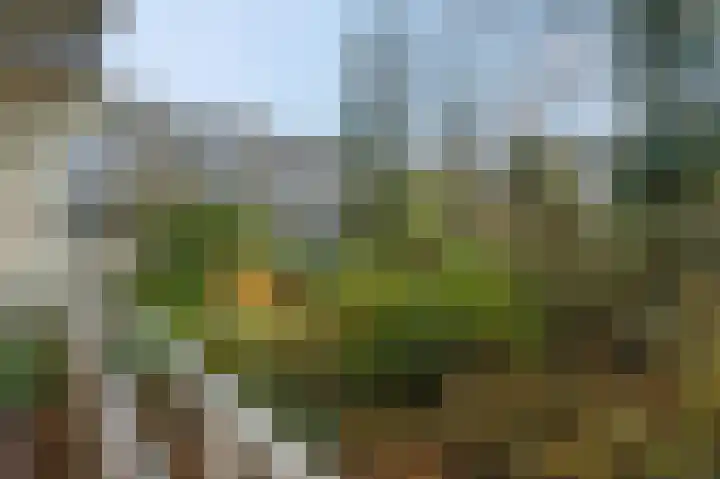 Dennenlaan 105 Ede thumbnail 28