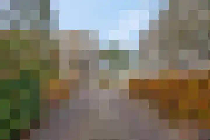 Dennenlaan 105 Ede thumbnail 35