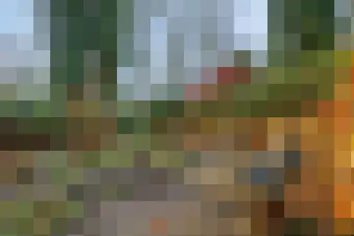 Dennenlaan 105 Ede thumbnail 36