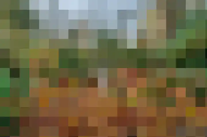 Dennenlaan 105 Ede thumbnail 37