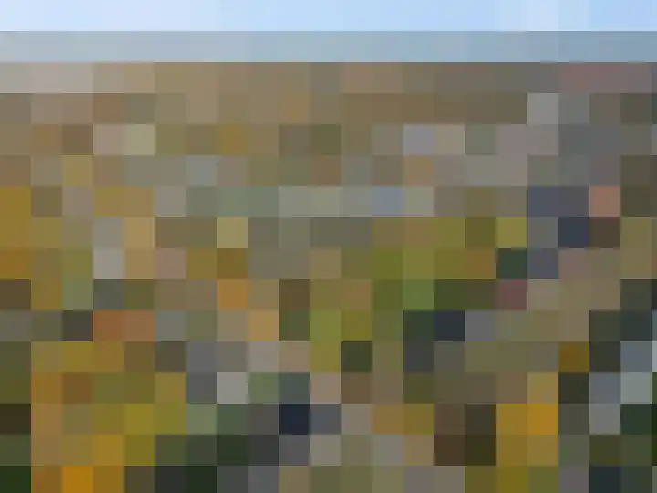 Dennenlaan 105 Ede thumbnail 38