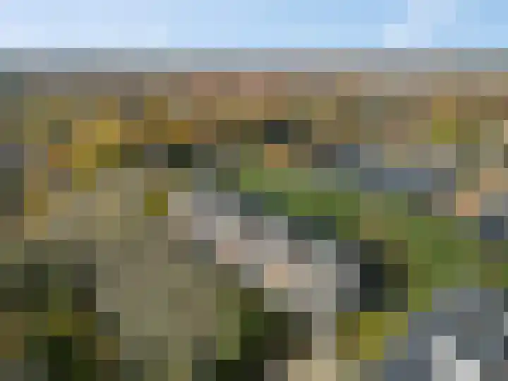 Dennenlaan 105 Ede thumbnail 40