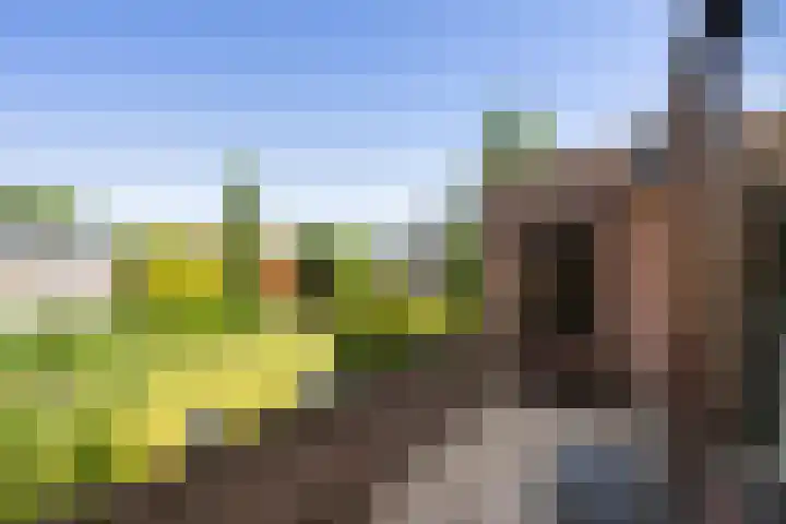 Dennenlaan 105 Zwanenburg thumbnail 15