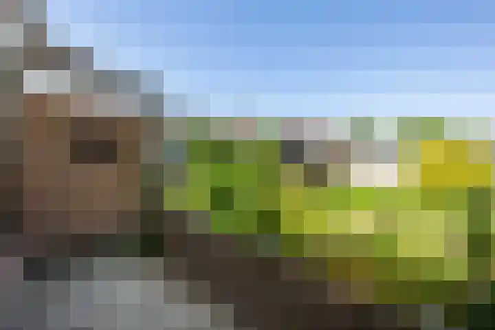 Dennenlaan 105 Zwanenburg thumbnail 16
