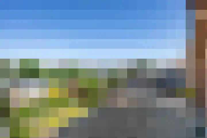 Dennenlaan 105 Zwanenburg thumbnail 4