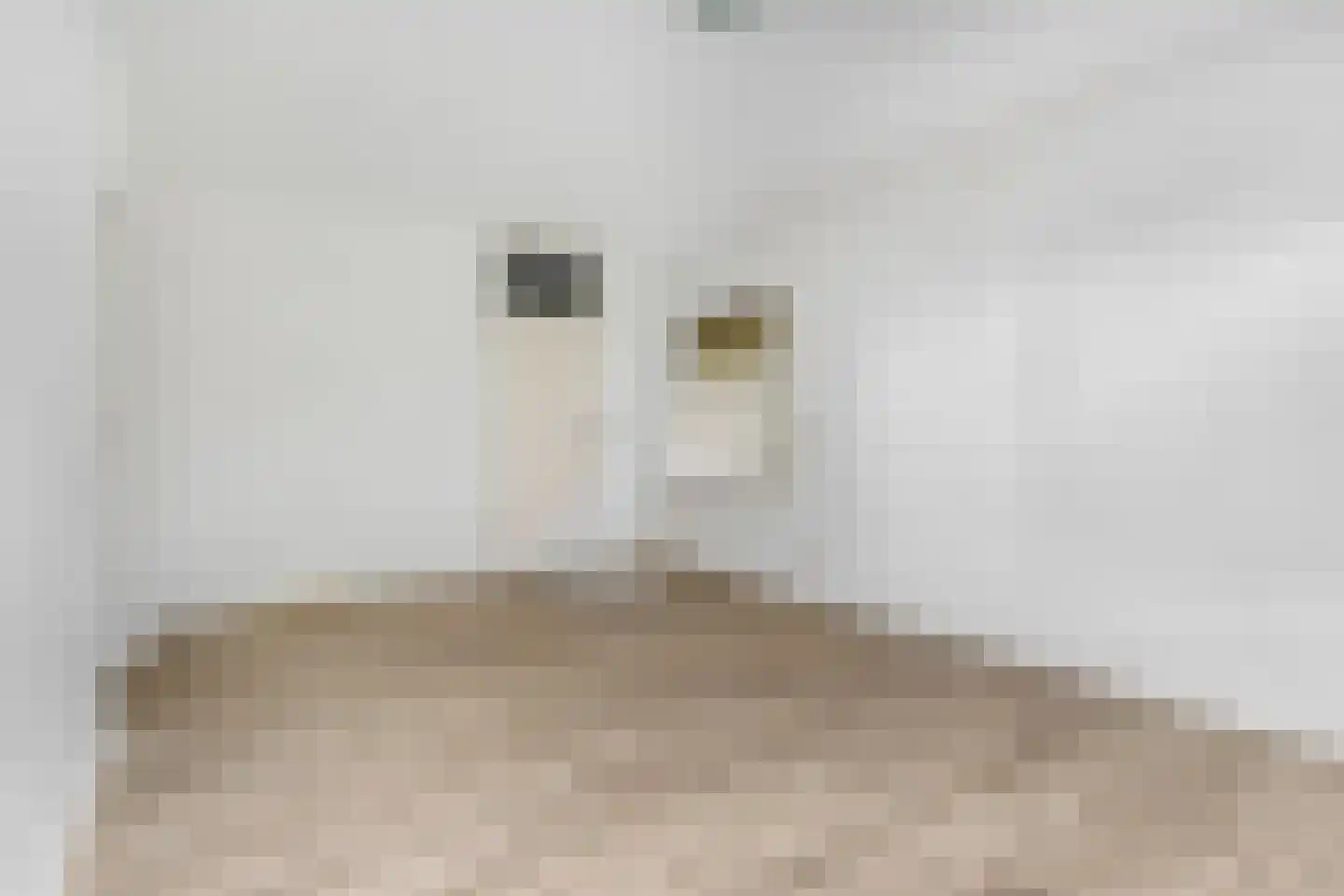 Dennenlaan 109 Ede thumbnail 20