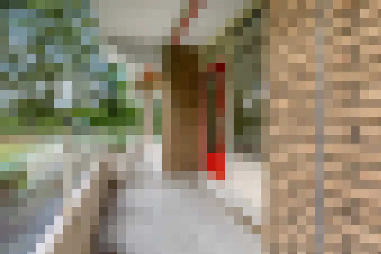 Dennenlaan 109 Ede thumbnail 33