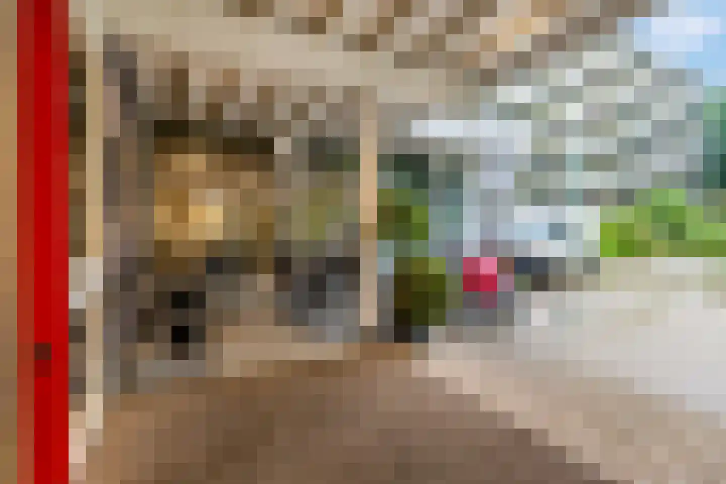 Dennenlaan 109 Ede thumbnail 47