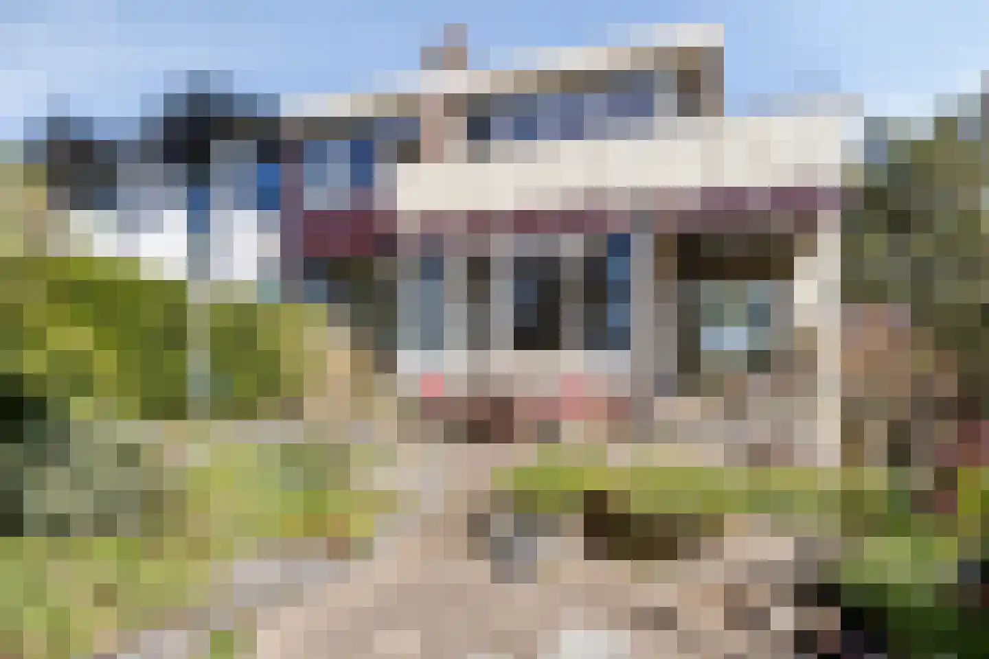 Dennenlaan 11 Egmond aan Zee thumbnail 35