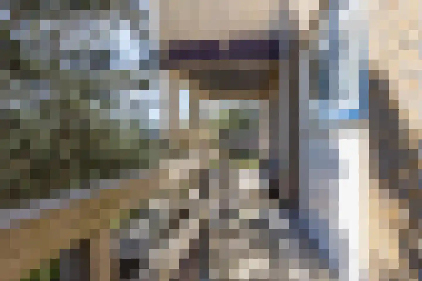 Dennenlaan 11 Egmond aan Zee thumbnail 37