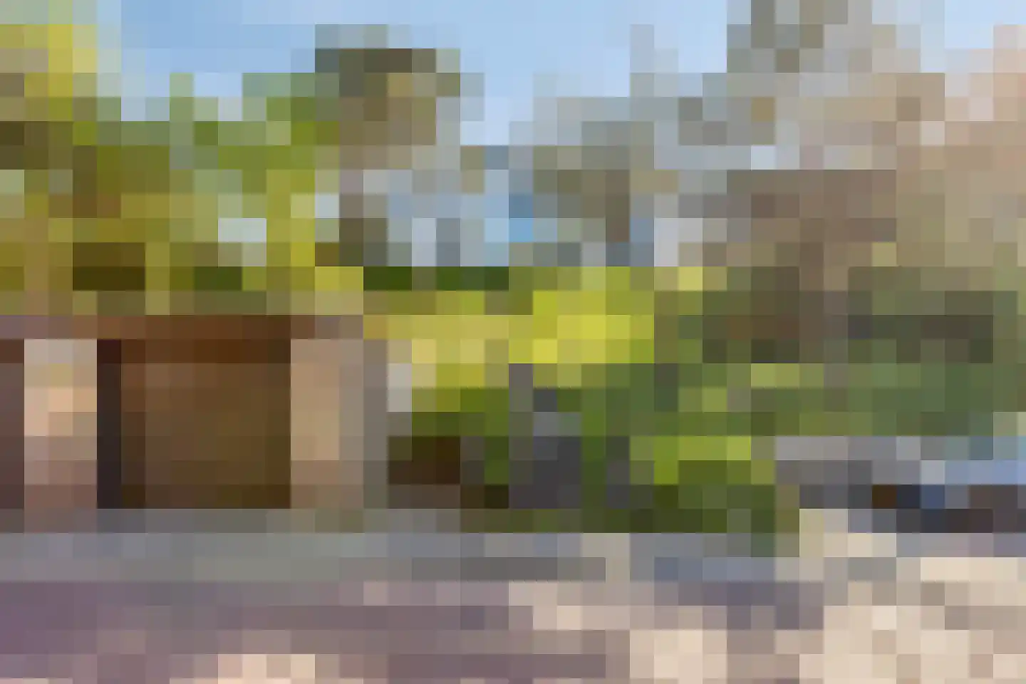 Dennenlaan 11 Egmond aan Zee thumbnail 4