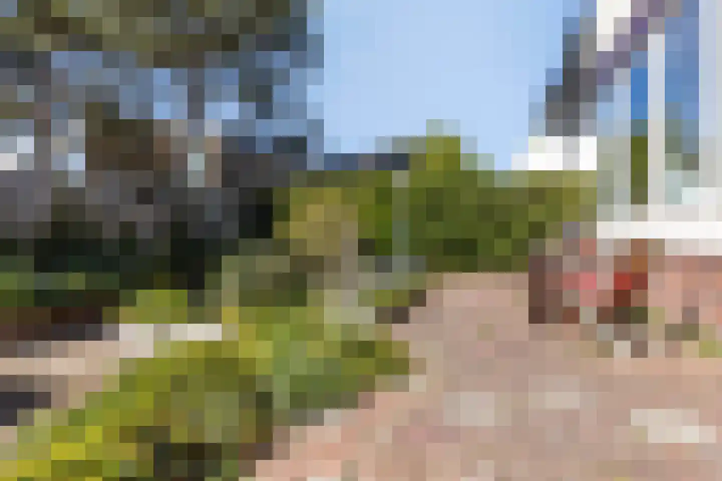 Dennenlaan 11 Egmond aan Zee thumbnail 40