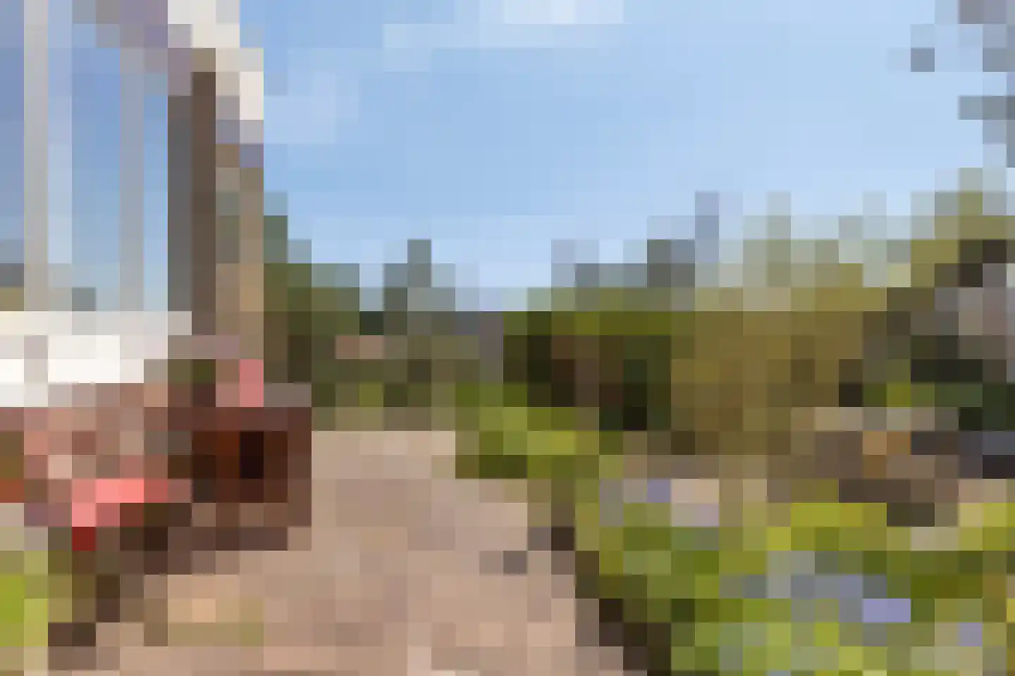 Dennenlaan 11 Egmond aan Zee thumbnail 41