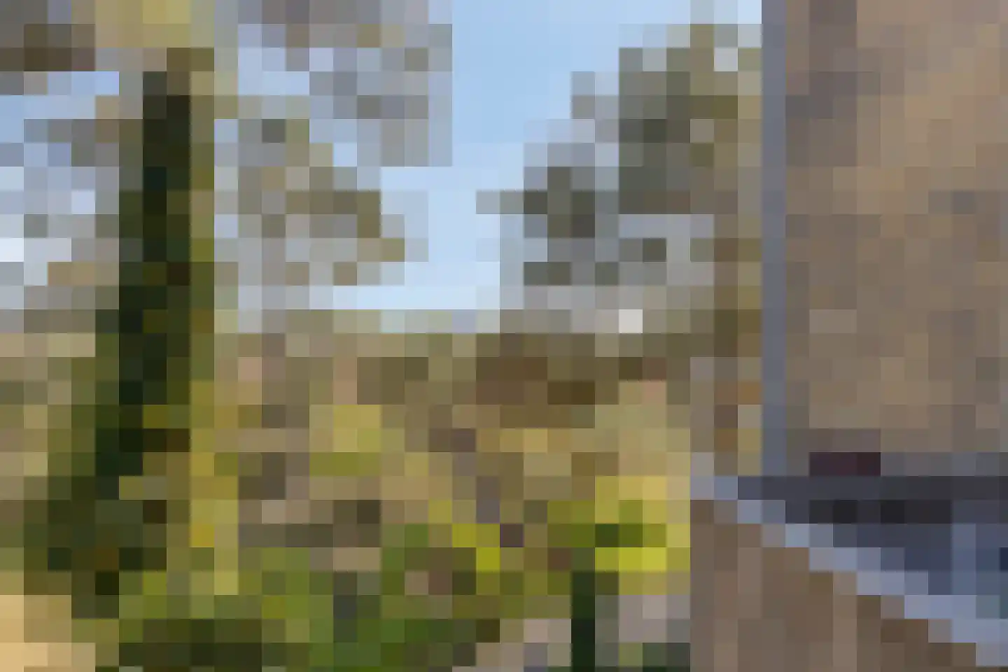 Dennenlaan 11 Egmond aan Zee thumbnail 43