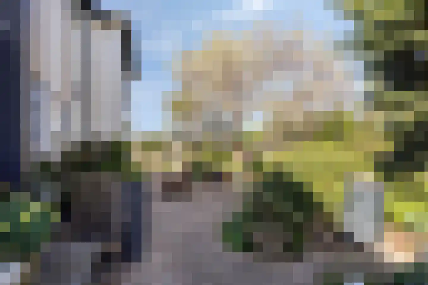 Dennenlaan 11 Egmond aan Zee thumbnail 44