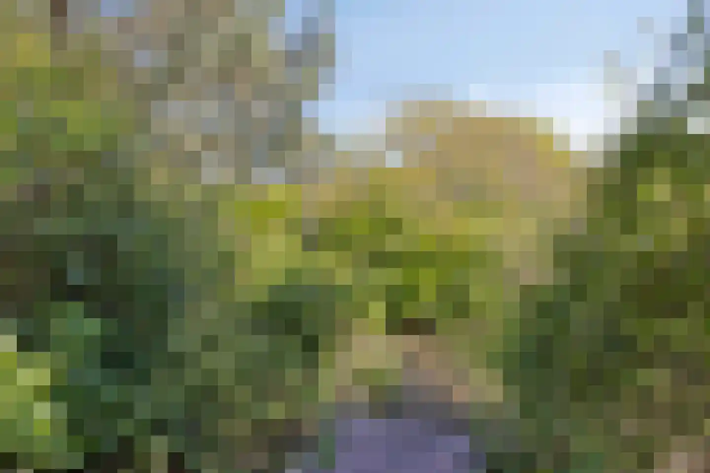 Dennenlaan 11 Egmond aan Zee thumbnail 47