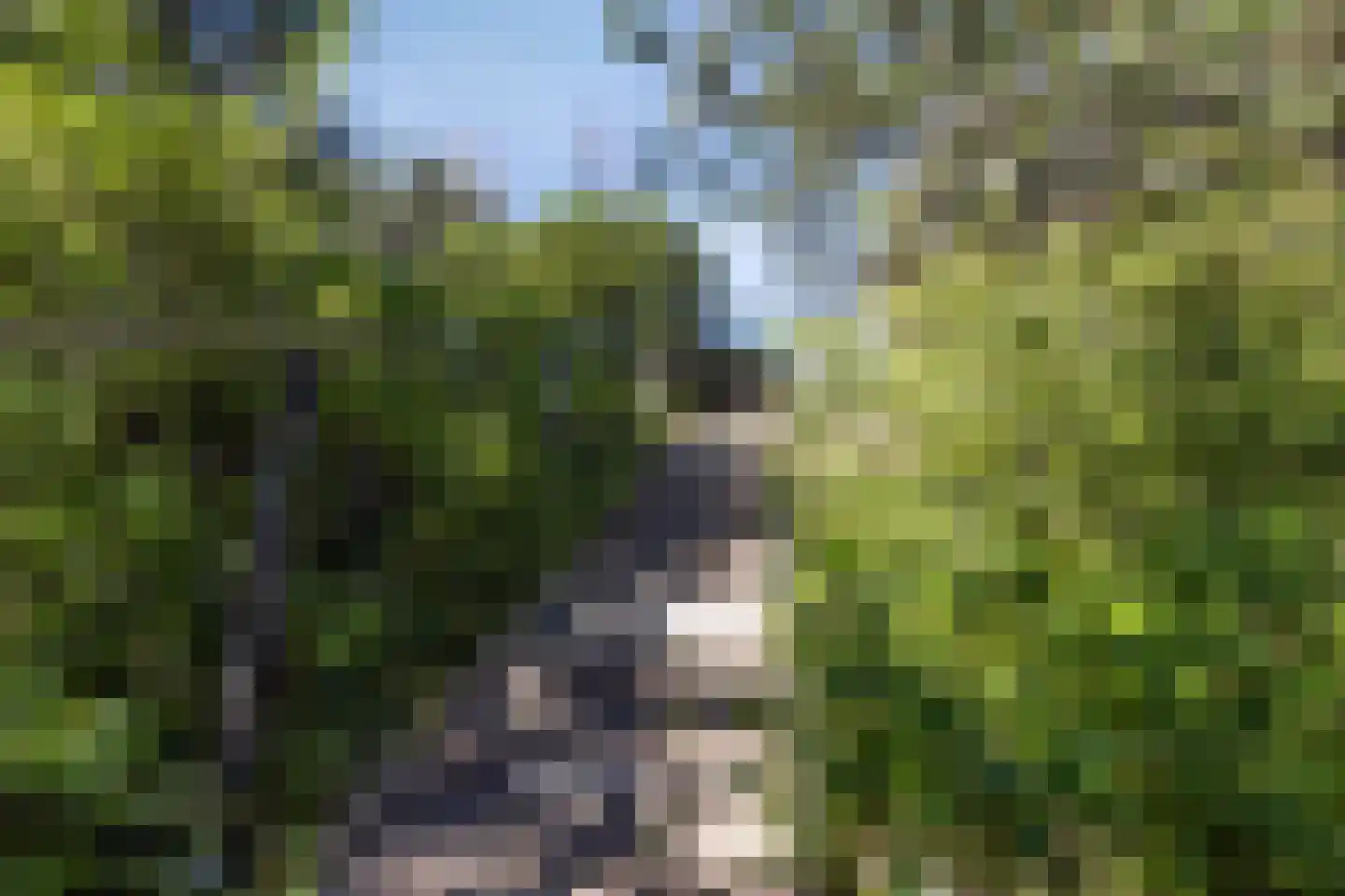 Dennenlaan 11 Egmond aan Zee thumbnail 48