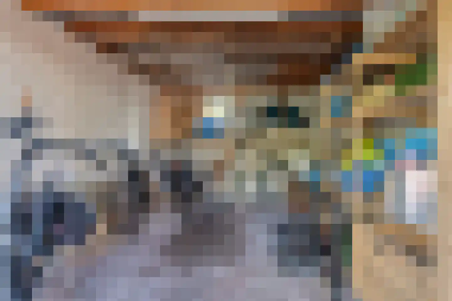 Dennenlaan 11 Egmond aan Zee thumbnail 5