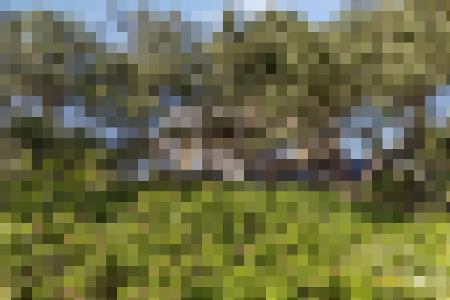 Dennenlaan 11 Egmond aan Zee thumbnail 51