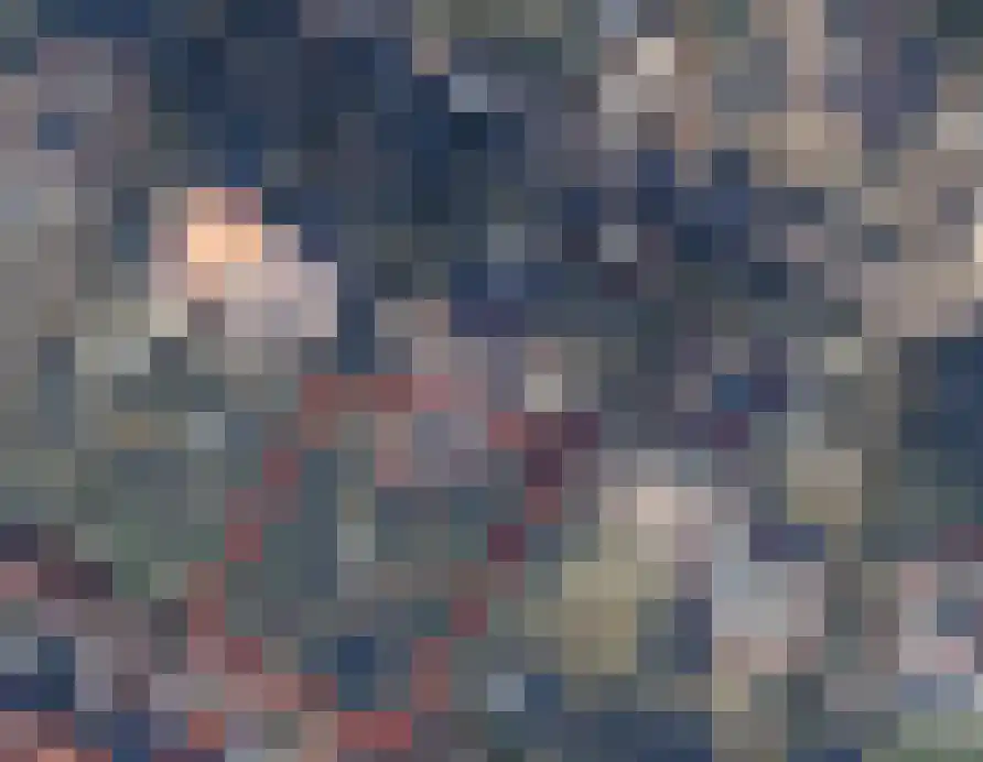 Dennenlaan 11 Egmond aan Zee thumbnail 53