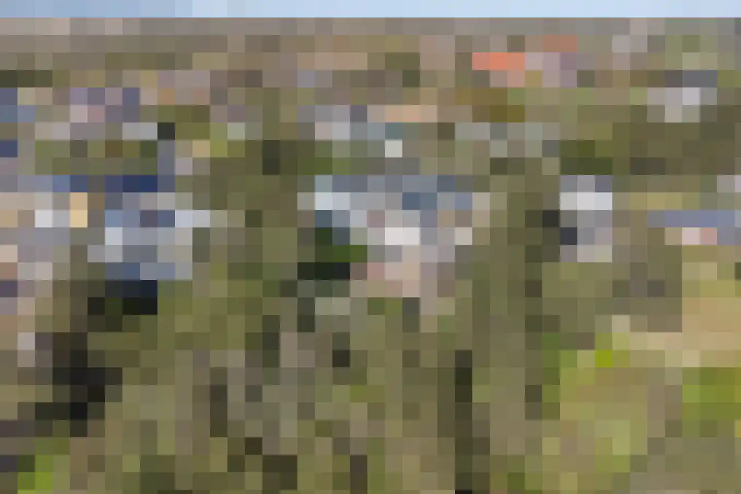 Dennenlaan 11 Egmond aan Zee thumbnail 57