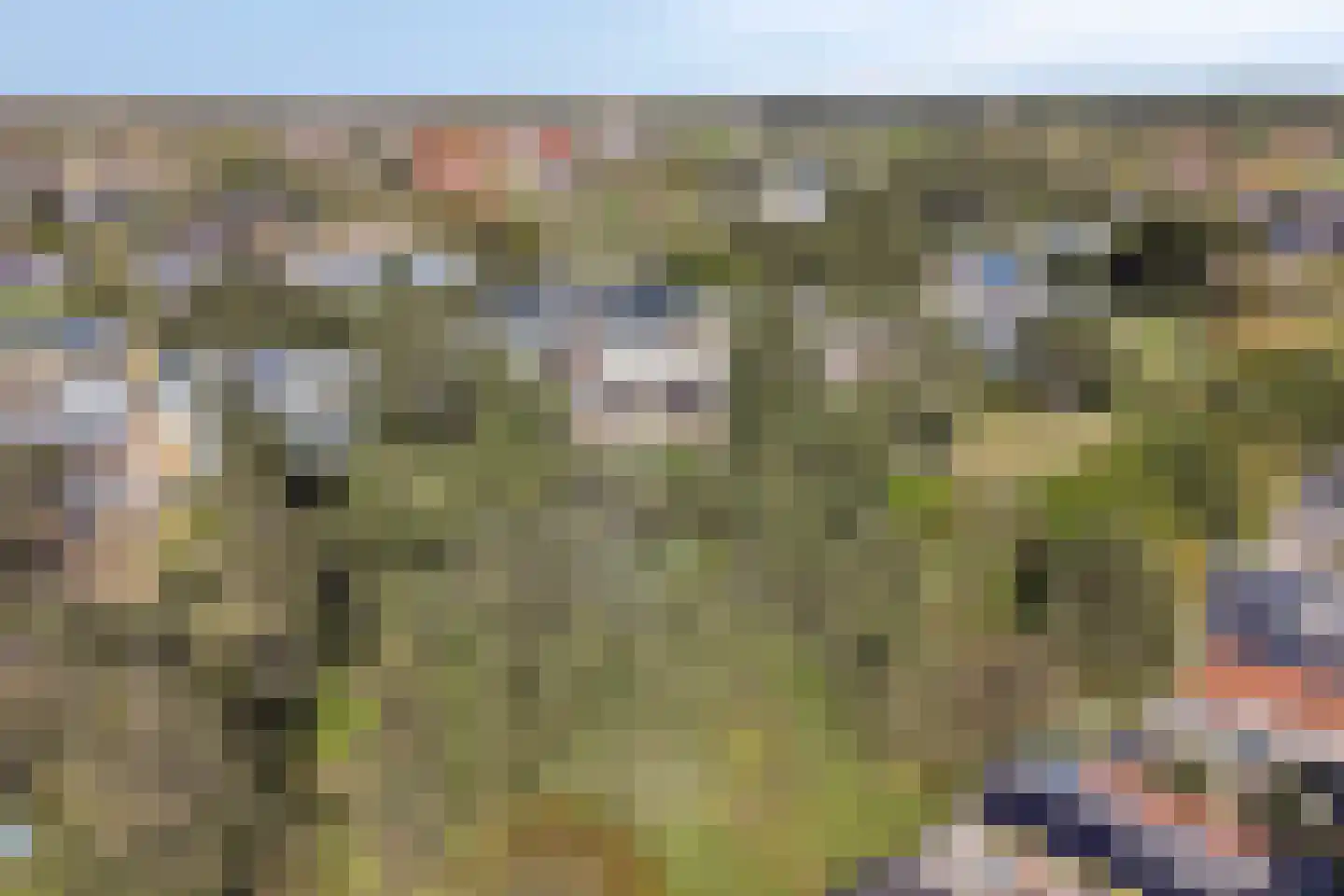 Dennenlaan 11 Egmond aan Zee thumbnail 59