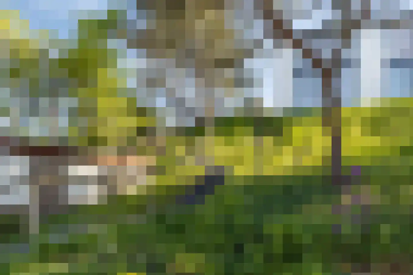 Dennenlaan 11 Egmond aan Zee thumbnail 6