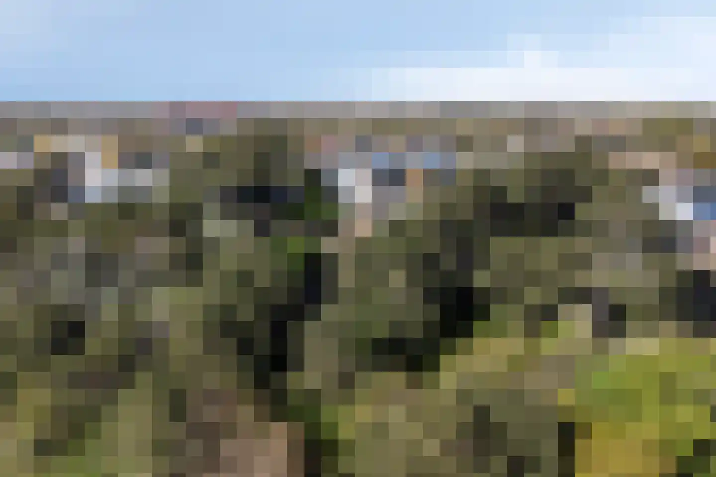 Dennenlaan 11 Egmond aan Zee thumbnail 60