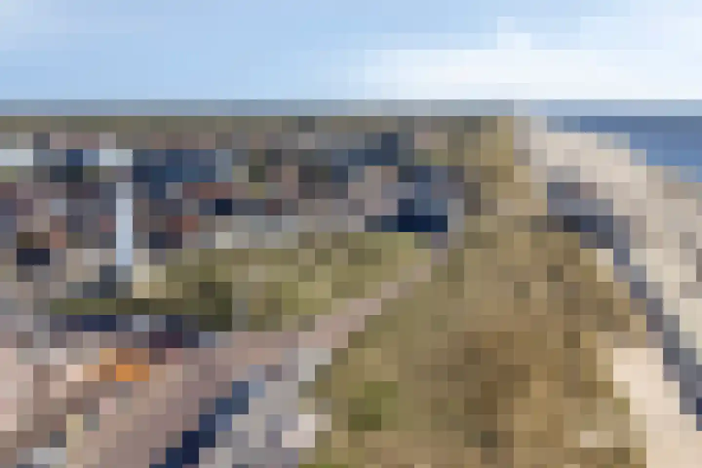 Dennenlaan 11 Egmond aan Zee thumbnail 62
