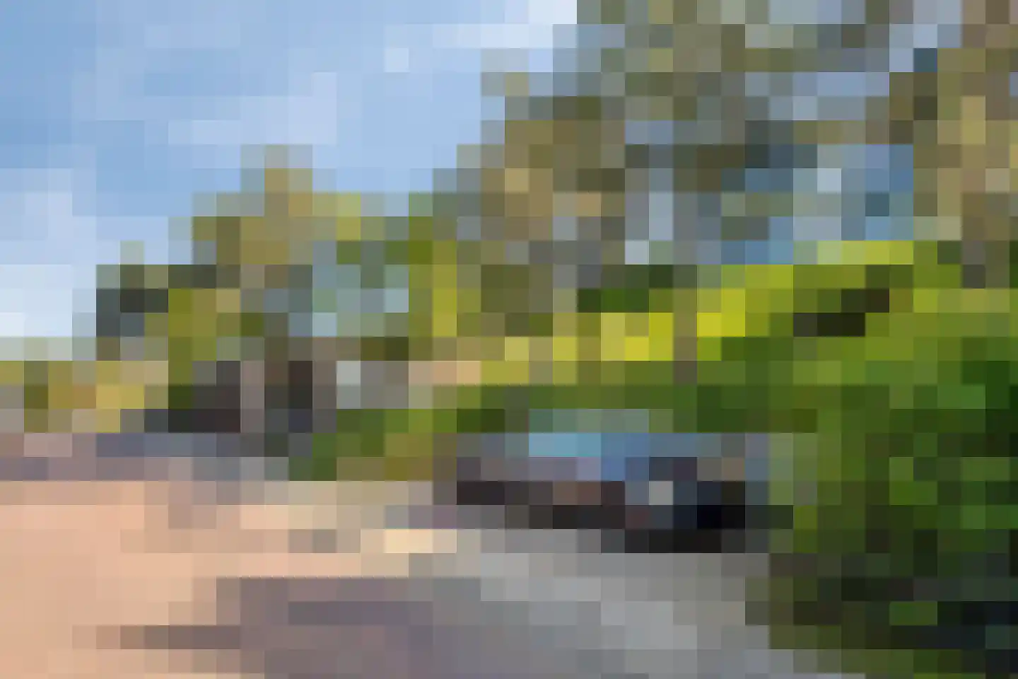 Dennenlaan 11 Egmond aan Zee thumbnail 66