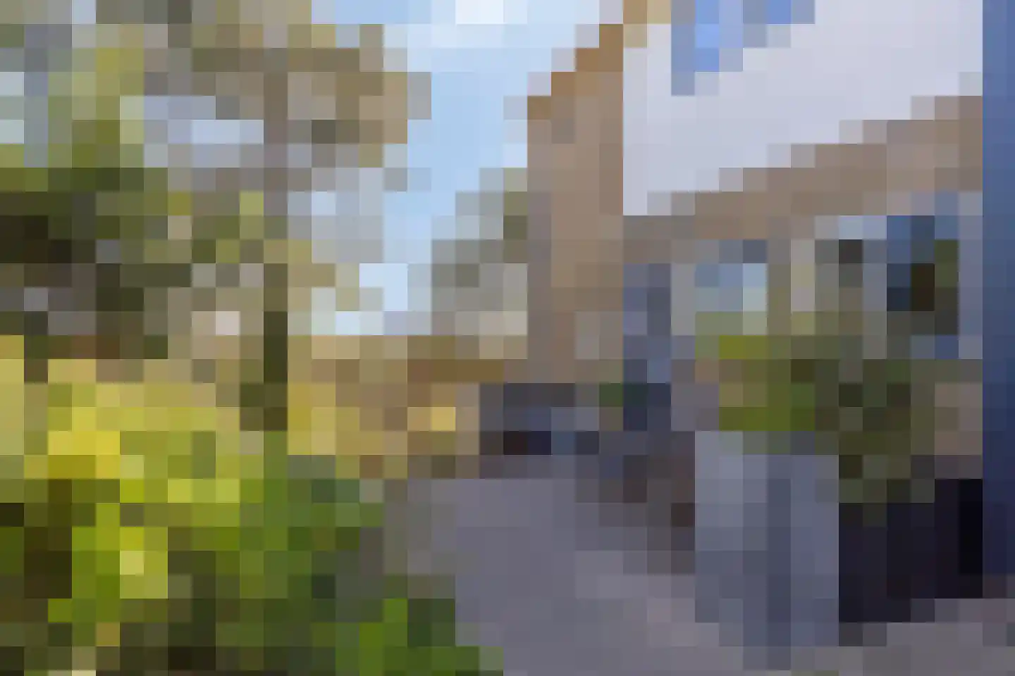 Dennenlaan 11 Egmond aan Zee thumbnail 7