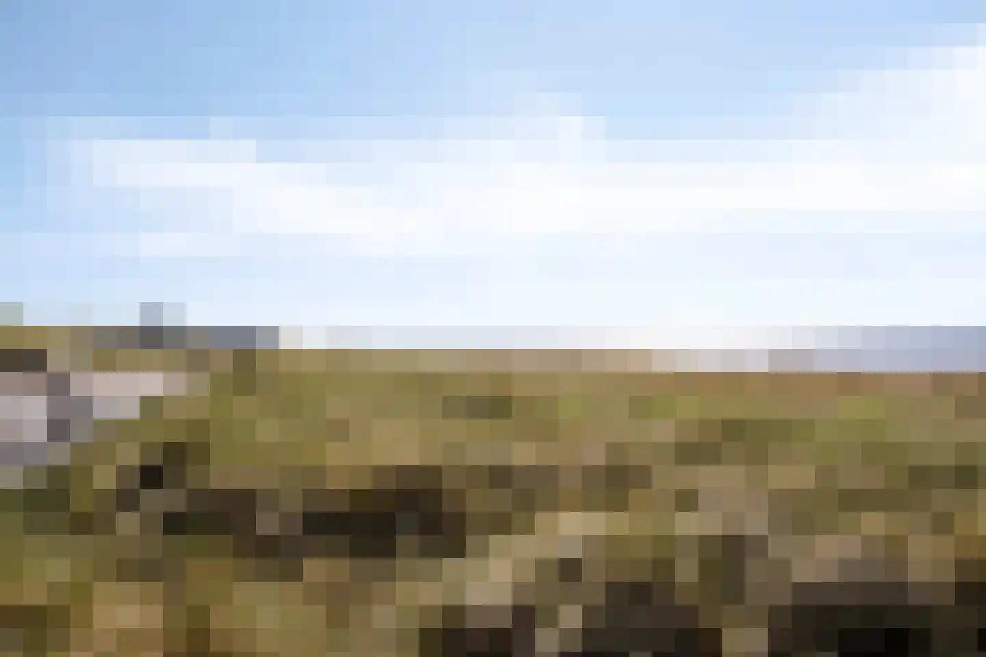 Dennenlaan 11 Egmond aan Zee thumbnail 70