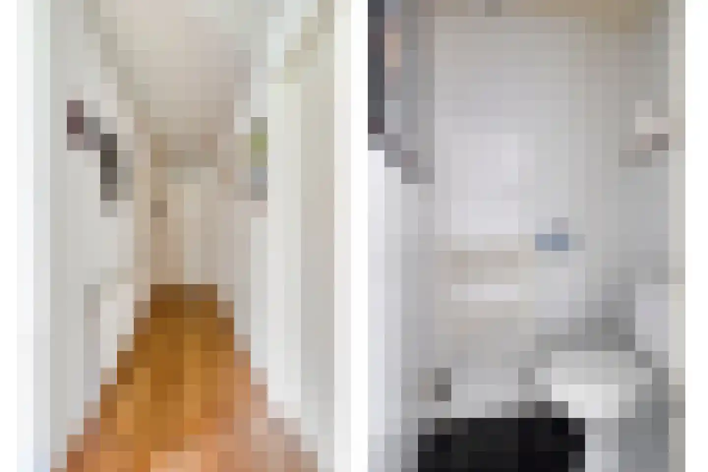 Dennenlaan 11 Norg thumbnail 26