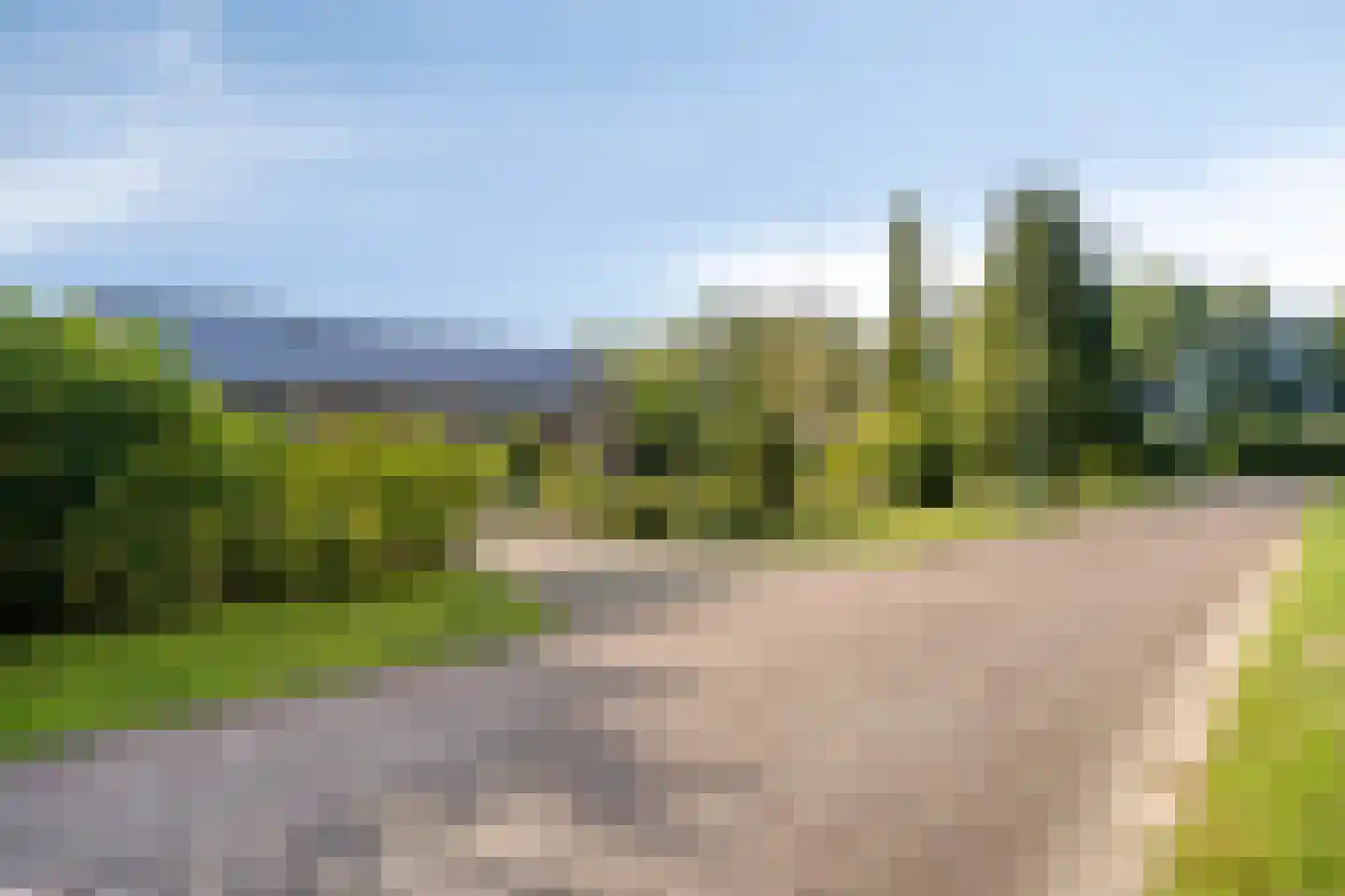 Dennenlaan 11 Norg foto 3