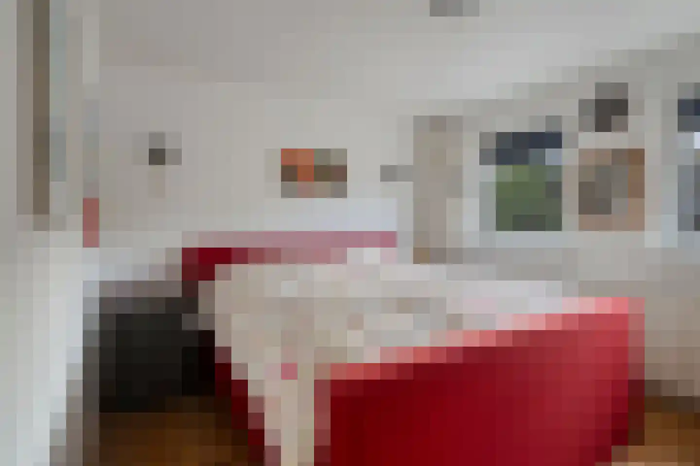 Dennenlaan 11 Norg thumbnail 32