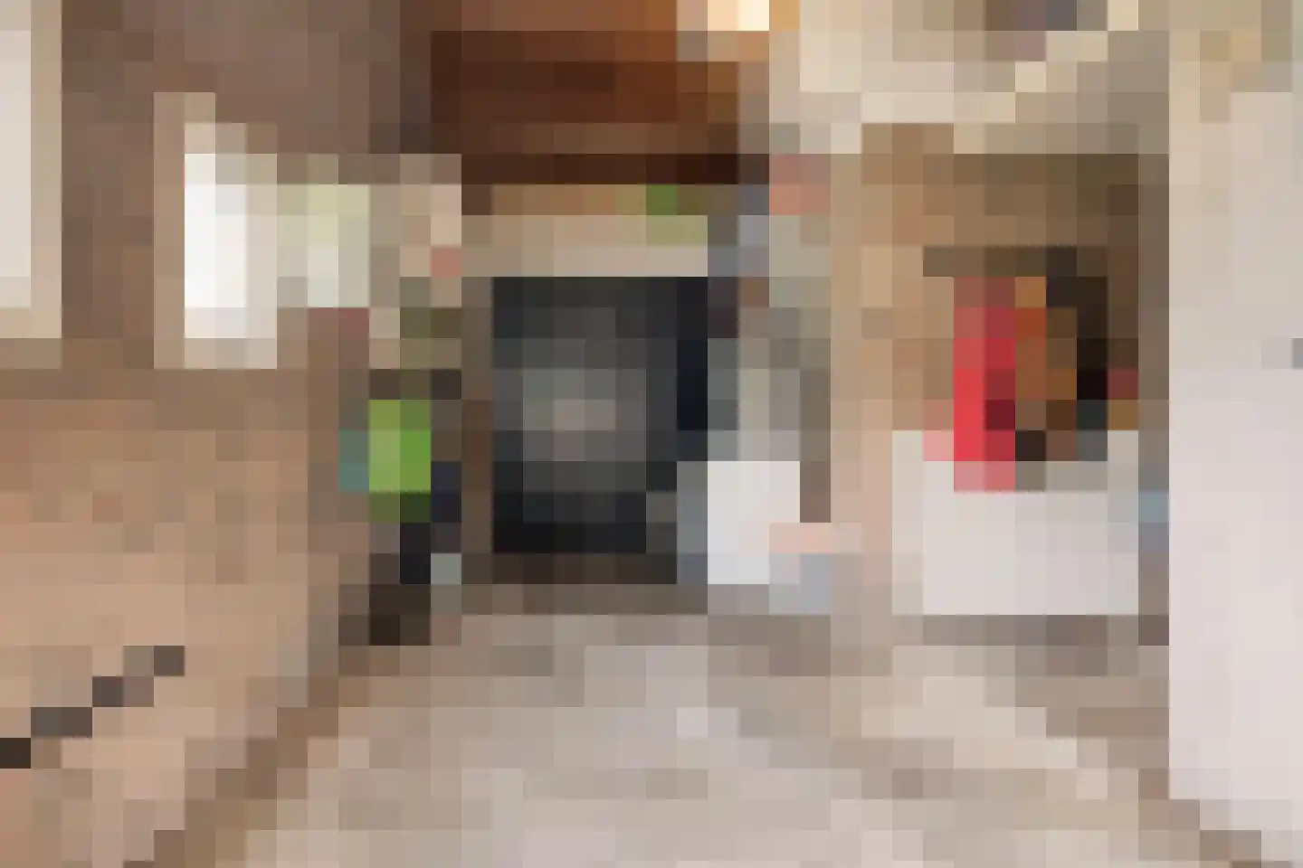 Dennenlaan 11 Norg thumbnail 36