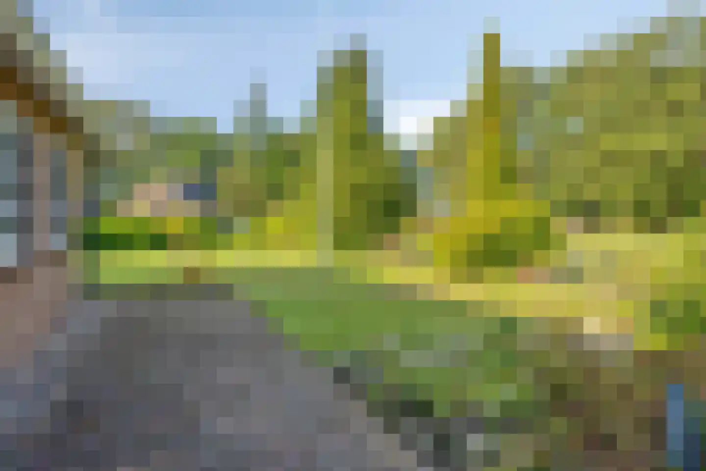 Dennenlaan 11 Norg thumbnail 39