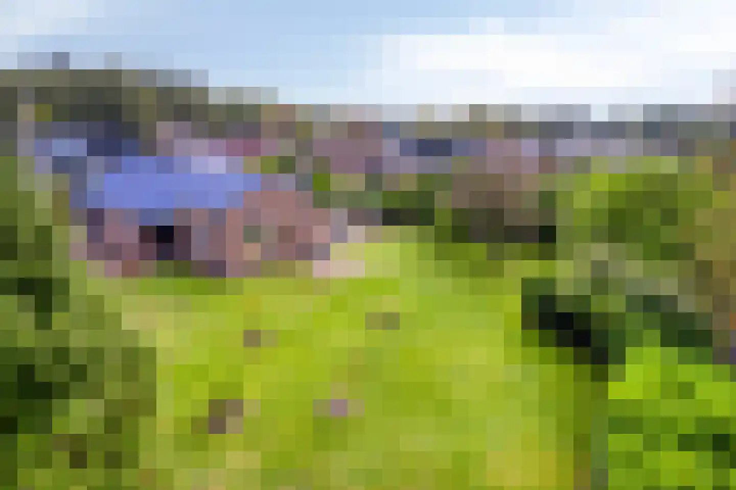 Dennenlaan 11 Norg thumbnail 4