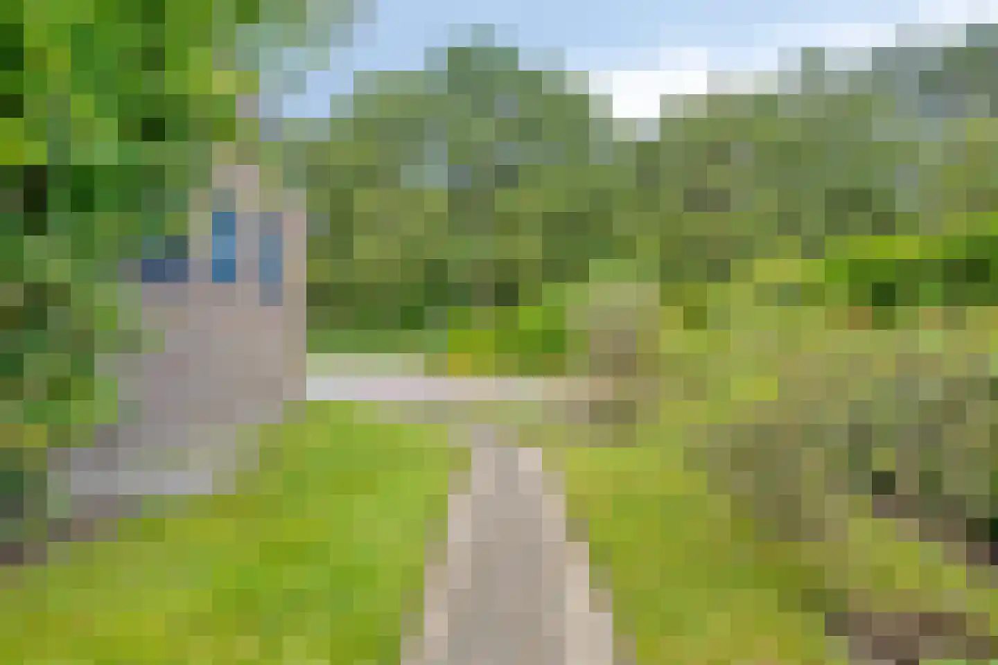 Dennenlaan 11 Norg thumbnail 41