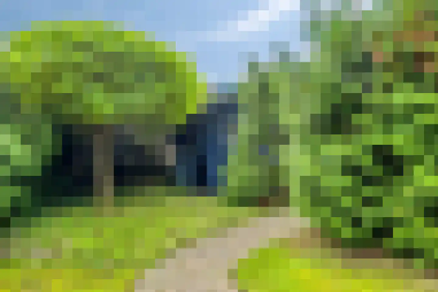 Dennenlaan 11 Norg thumbnail 42