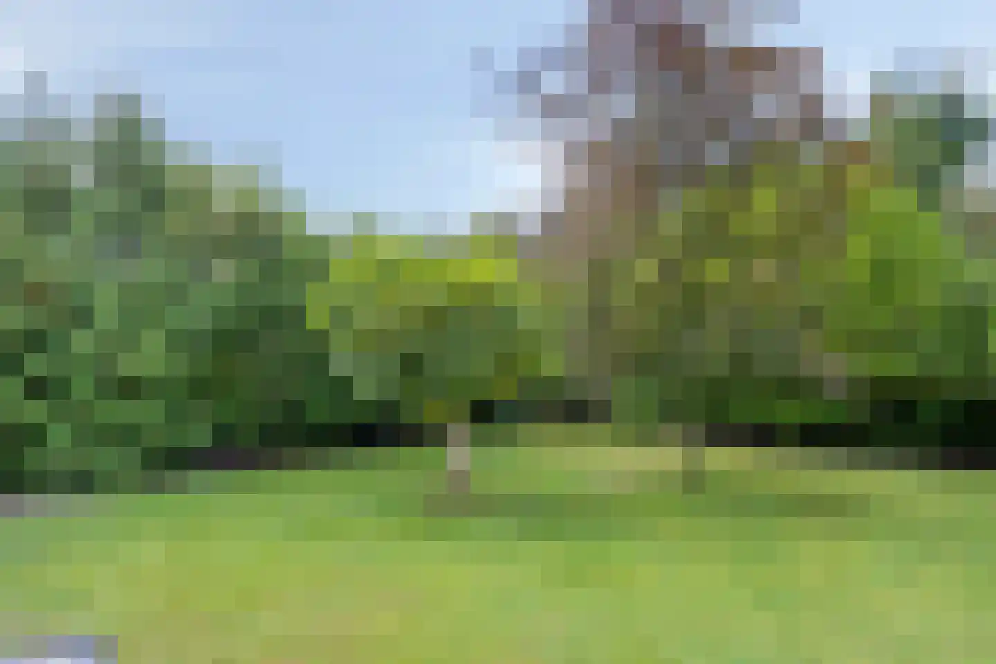 Dennenlaan 11 Norg thumbnail 49