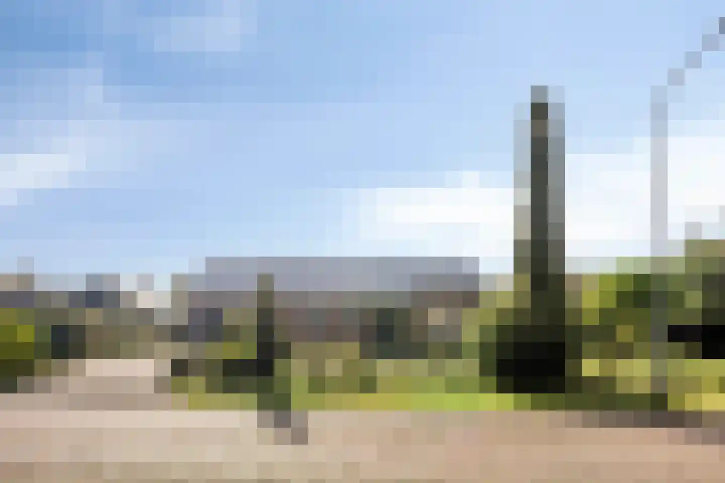 Dennenlaan 11 Norg thumbnail 5