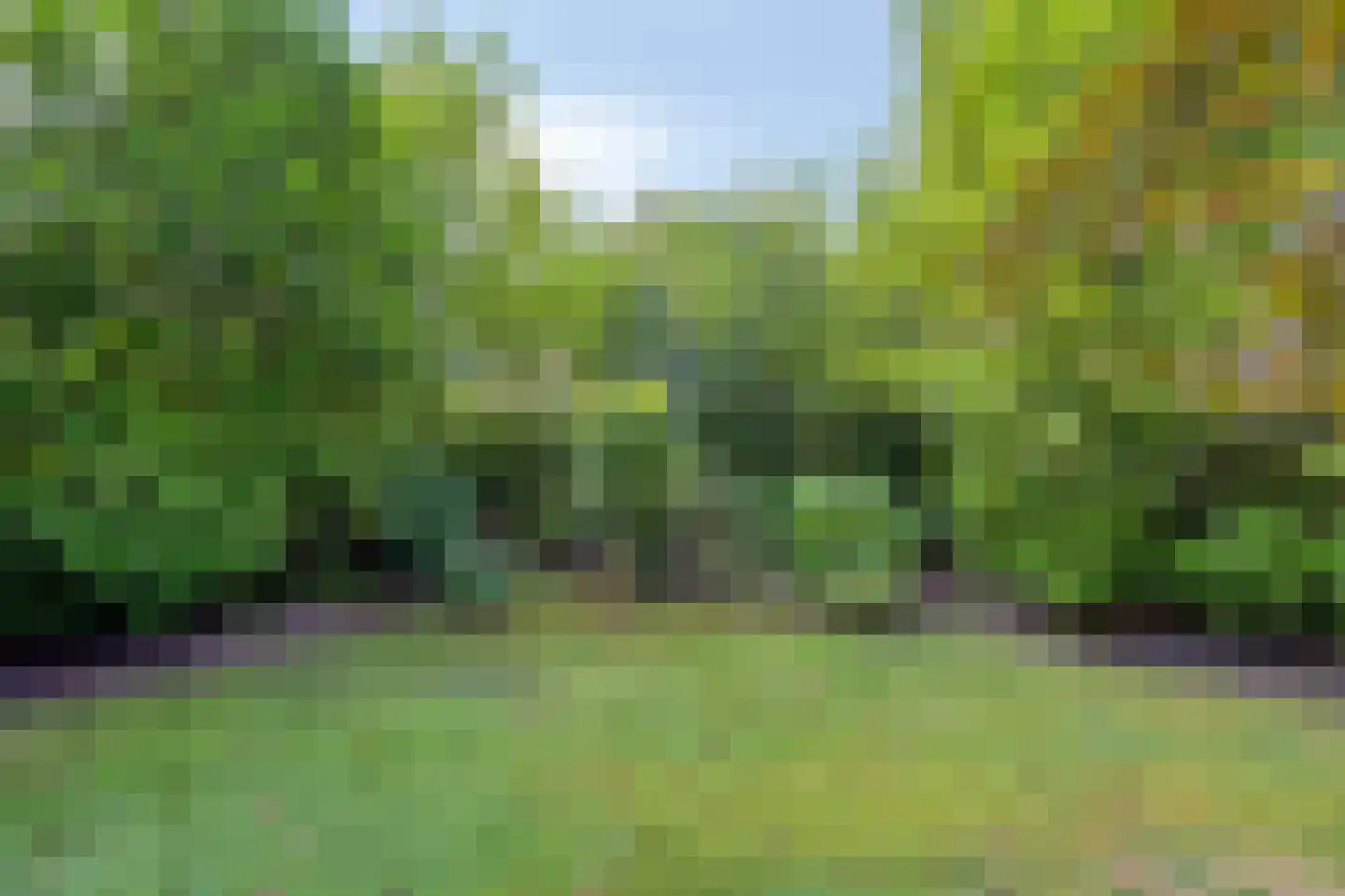 Dennenlaan 11 Norg thumbnail 50