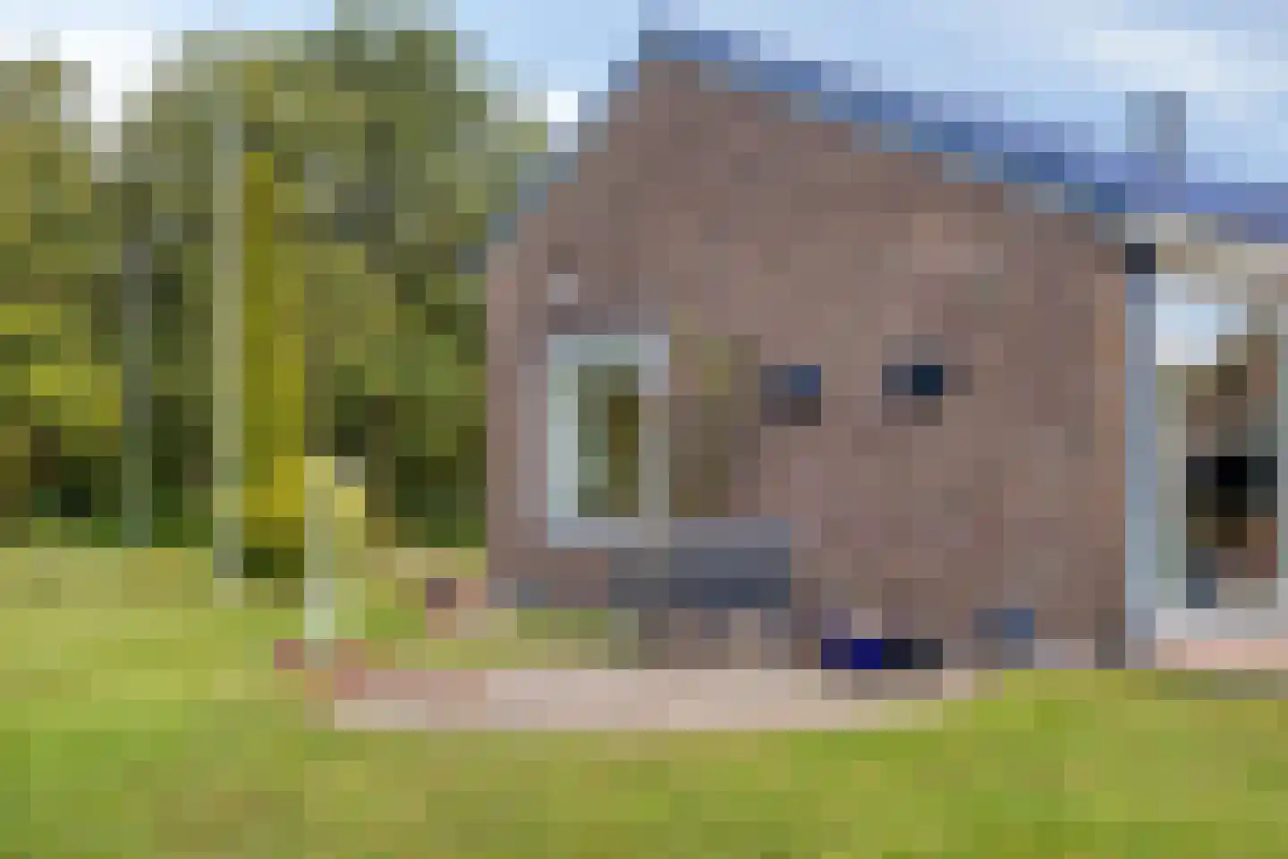 Dennenlaan 11 Norg thumbnail 51