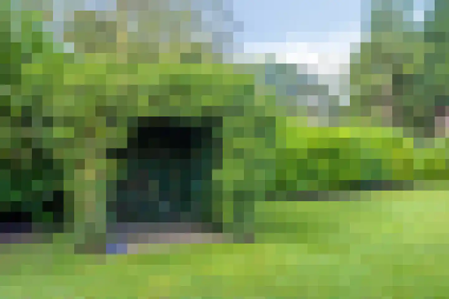 Dennenlaan 11 Norg thumbnail 52