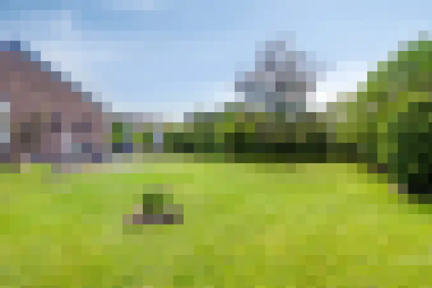 Dennenlaan 11 Norg thumbnail 55