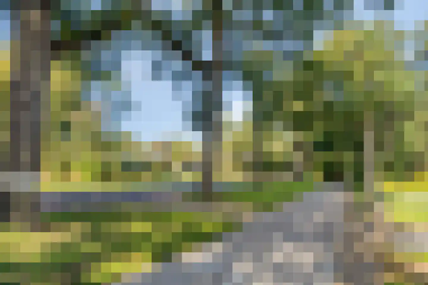 Dennenlaan 11 Norg thumbnail 58